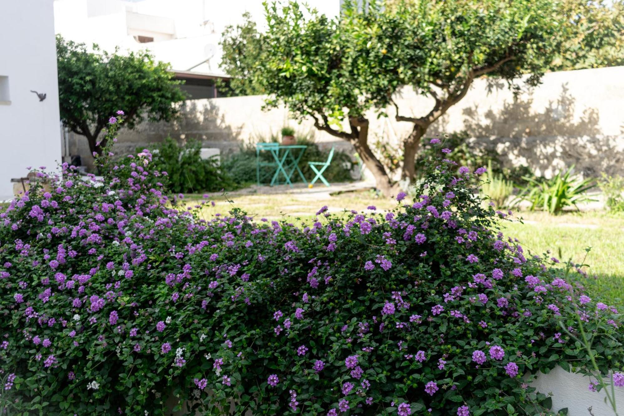 Corte Mercurio B&B Ugento Extérieur photo